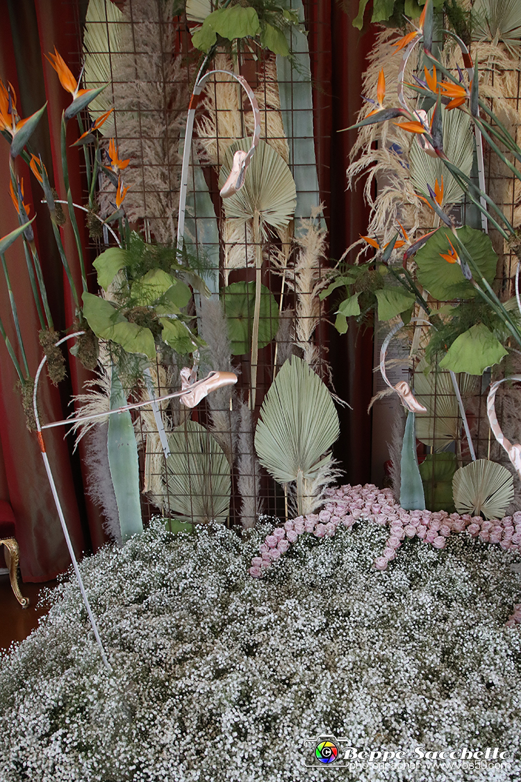 VBS_0143 - Corollaria Flower Exhibition 2022.jpg